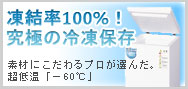 凍結率100％！究極の冷凍保存